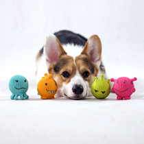 Midsummer Night Qmonster Stellar Little Monster Natural Latex Sound Toy Dog Accompanying Grinding Toys Toys