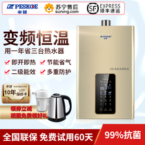 Hemisphere gas water heater 12 liters constant temperature forced discharge household natural gas liquefied gas balanced 16 liters silent