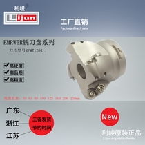 2019 Lijun EMRW6R50 round nose milling cutter CNC milling cutter bar EMRW6R50 22 4T ERP63R6