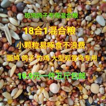 Pigeon Turtledove partridge pheasant bamboo chicken manbird feed grain 18 in 1 mixed grain a piece of five catties of Bird Grain
