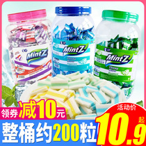mintz mint fudge mintz toffee Indonesia imported gummy breath fresh fruit cool candy snack
