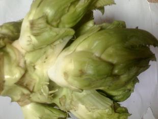 湖南特产 农家自种 芽菜 榨菜 菜头