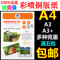 Ekman Matte Coated Paper Dock Number A4A3A3 Color Spray Coated Double-sided Inkjet Printing Waterproof 50 Pack