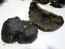 Bo Shuzhi wild thin tree lucidum Ganoderma lucidum wild thin Ganoderma taste is not bitter varieties 13 years old shop 328 yuan a catty