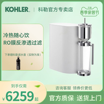 Koller home water purification heating all-in-one K-78433T reverse osmosis i.e. hot water purifying bar intelligent electric kettle