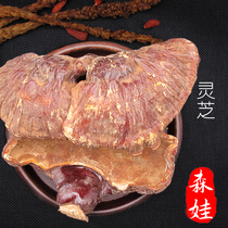 Changbai Mountain authentic Linxia Wild Lingzhi Red zhi can be sliced and ground Nyingchi new product promotion fake one lost ten