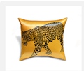 CBD Home Pillow