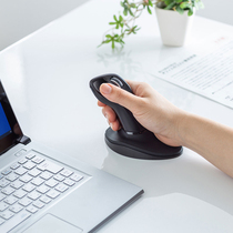 Japan sanwa ergonomic wireless mouse large size vertical grip button left and right attached palm support rocker design vertical computer mouse vertical grip office