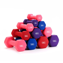 Hexagon small dumbbell ladies beginner fitness dormitory household pink arm strength rehabilitation training equipment pair