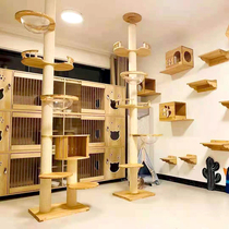 Tongtianzhu solid wood cat climbing frame space capsule cat tree one sisal cat cat Villa