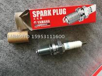 Jinan Tibetan mastiff off-road motorcycle QM200GY GY150 spark plug universal original NGK DR8EA spark plug