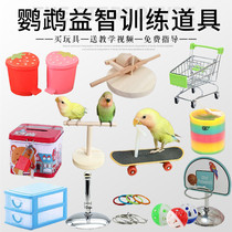 Parrot toys pet bird training supplies set of tiger skin peony Xuanfeng shooting trash can puzzle bite props