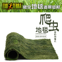 HAGEN Xijin horned frog tree frog Mose carpet rainforest type moisturizing mat chameleon lizard reptile tank landscape