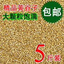 A- level large particles with Shell millet yellow millet tiger skin peony Xuan phoenix bird food bird food bird feed 5kg