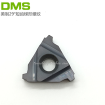 29 degree American short tooth trapezoidal thread external tooth knife large blade 22ER 6STACME DM20