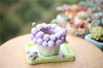 ni jiang go senz zuo live mugs custom basin fill the basin fleshy flower-pots with the ceramic