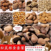 Squirrel food Main food Raw nuts pine nuts package Flying squirrel golden flower devil red-bellied cubs eat the main food snacks