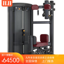 American Lijian LIFEFITNESS Brand Insignia Series Torso Rotary Trainer SS-TR