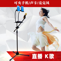 麦克风支架 落地式 主播双手机直播专业声卡置物架室内户外通用立式麦架子升降悬臂架电容麦克风奶瓶话筒支架