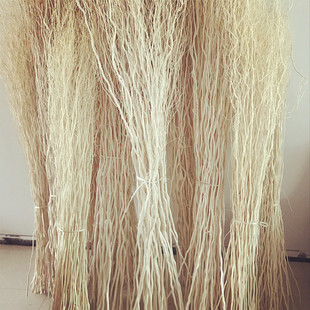 龙柳干枝龙桑天然干花干树枝 婚庆拱门装饰树枝落地橱窗玄关隔断