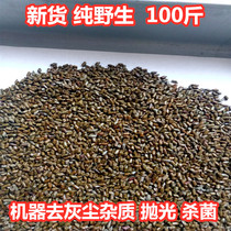  Cassia colored stone sand Childrens playground sand pool toy sand playground household beach 100 kg