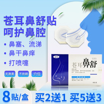 Child Adults Allergic Nose and Nasal Sinus Sinus Sinus Rhinoceroses Nasal Seectomy Nasal and nasal Nasal Comfort Acupoint Sticking of Acupuncture-Moxibustion Acuity