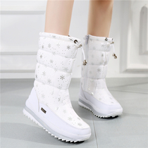 Winter northeast tourist skiing Joker thick warm waterproof non-slip zipper womens snow cotton boots Womens cotton shoes