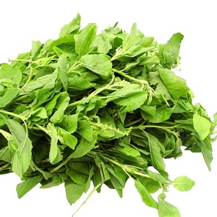 泰国越南菜配料 新鲜打抛叶 塔抛叶 嘎泡叶 呷抛 甲抛叶 500g