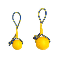 Interstellar Ball Pet Toys Dog Training Ball Dog Training Dog Toy Ball Floating Ball Golden Hair Border Animal Husbandry Toy Ball Pet Ball Toy