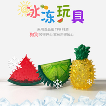Dog toys Summer cooling Frozen toys Bite-resistant molars Puppies Small dogs TEDDY Molars toys Dog Supplies