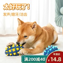 Dog toy ball rubber tone ball with prickly rugby grinding teeth resistant to bite large dog Koji golden dog toy