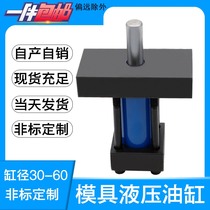 Factory direct mold Hydraulic cylinder plastic molding mold Non-standard custom light heavy bore 3040506080
