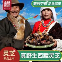 Tibetan wild Ganoderma lucidum Linzhi red black Ganoderma lucidum dry goods Sliced Ganoderma can slice authentic wild 250g