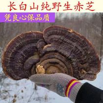 Changbai Mountain Wild Sliced Ganoderma lucidum Deep Mountain Sliced Red Ganoderma Linzhi Slice 500g