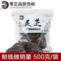 500g Changbai Mountain Purple Ganoderma lucidum whole semi-wild Ganoderma lucidum powder wine producing straight hair red Ganoderma lucidum tablets
