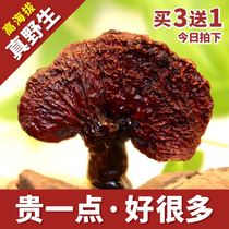 Tibet wild Ganoderma lucidum Linzhi red black Ganoderma lucidum dry goods Ganoderma lucidum 250g non-spore powder capsules