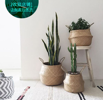 Seagrass woven decorative large flowerpot Net red Nordic style storage rattan flower blue piano leaf Banyan Banyan Banyan tortoise back bamboo flower
