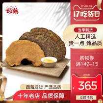  Tibet mulberry tree mulberry yellow Ganoderma lucidum Linzhi mulberry tree mulberry yellow whole flower Phnom Penh mulberry yellow 250g Non-Changbai Mountain