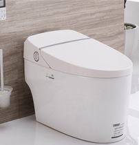 Wrigley intelligent toilet AKB1188