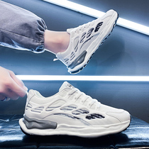 2021 new summer trend breathable deodorant mesh shoes sports casual board shoes mesh thin white Daddy trendy shoes