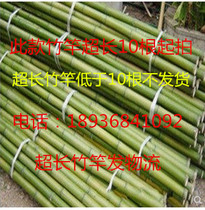  Bamboo poles of various specifications Bamboo poles 2 5 meters-4 meters long are available fence fence bunting bamboo poles