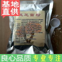 Ganoderma Lucidum Mushroom Powder Ganoderma Lucidum Mycelium Powder 250g Immune Boosting Fermented Ganoderma Lucidum Powder 3 get 1 Free