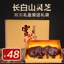 Changbai Mountain Ganoderma gift box Northeast semi-wild Ganoderma lucidum purple Ganoderma gift box can be sliced to buy five free boxes