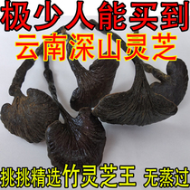 Yunnan deep mountain picking natural long-necked wild bamboo Ganoderma lucidum small red Ganoderma lucidum purple Ganoderma Super 250g