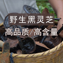Wild Ganoderma Lucidum Natural Pruning Wild Black Ganoderma Lucidum Dried Ganoderma Lucidum 250g Selected deep mountain wild Ganoderma Lucidum