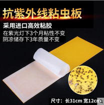 Barbara fly fire lamp sticky fly paper suitable for sticky insect board paper mosquito fly cardboard Sticky good 10 sheets