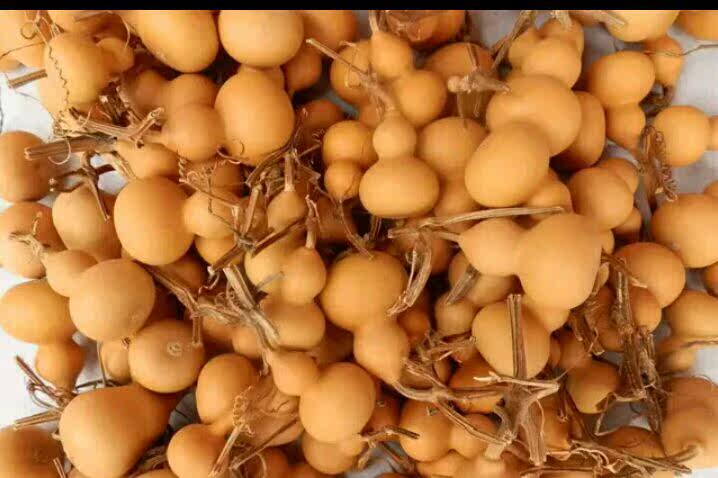 三仙矛草有用吗-杨肸子