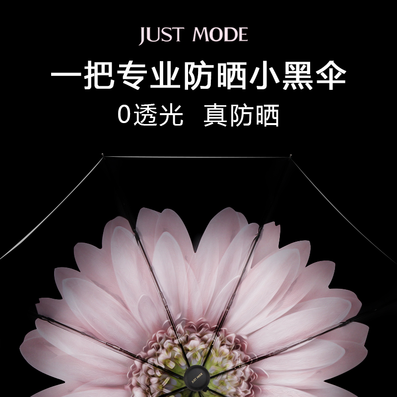 今年火爆了淘宝的小黑伞 来扒一扒真相 Black Lemon &