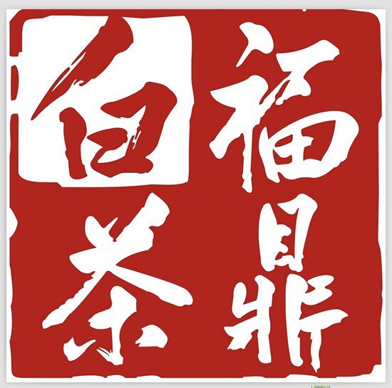 正宗原产地厂家福鼎白茶一泡金币小饼5克高山贡眉蜜香一斤价包邮