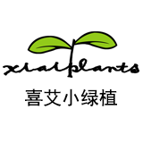 喜艾旗舰店淘宝店铺怎么样淘宝店